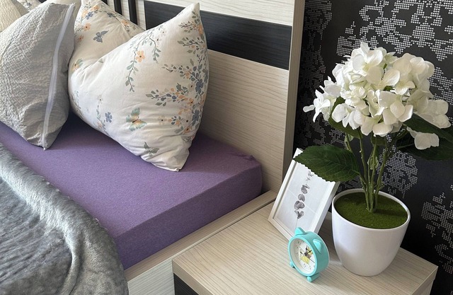Charming 1-bedroom apartment in Sarajevo. Wi-Fi & AC as well as pet-friendly.