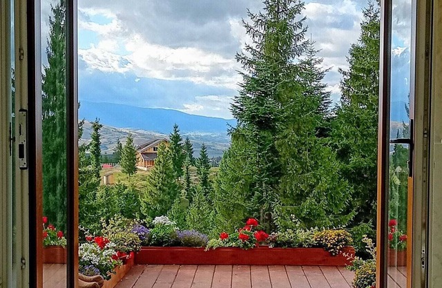 Charming 1-bedroom bed & breakfast in Dealu Negru