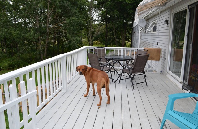 Charming home/Dog Friendly/enjoy bay view & sunsets