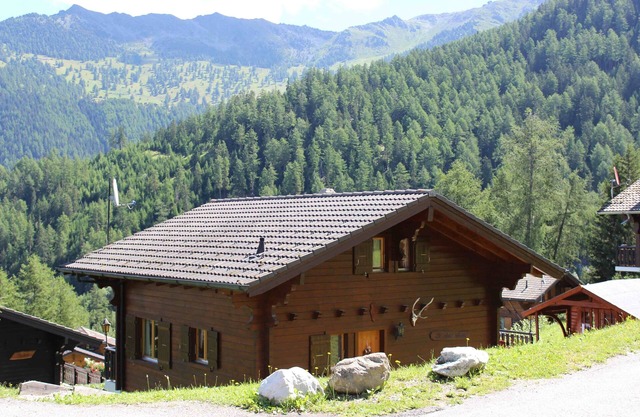 Charming Swiss Chalet, Terrace, Sauna, Log Fire, Parking,