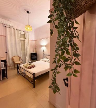 Classic rooms in the center