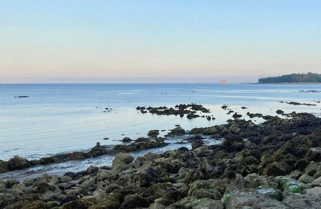 Coastal East View in St Helens