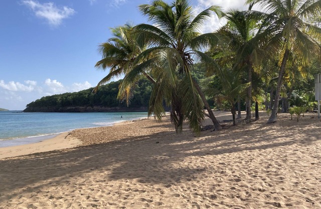 Coco-mango Apt A . Vue sur mer à 250 m de la Plage de la Perle