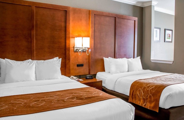 Comfort Suites New Braunfels - San Antonio Area