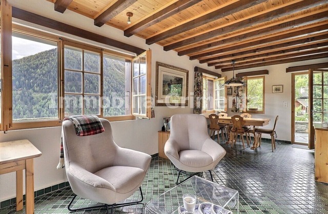 Comfortable chalet on 2 levels for 4 people, living room with fireplace, kitchen area with dishwashe