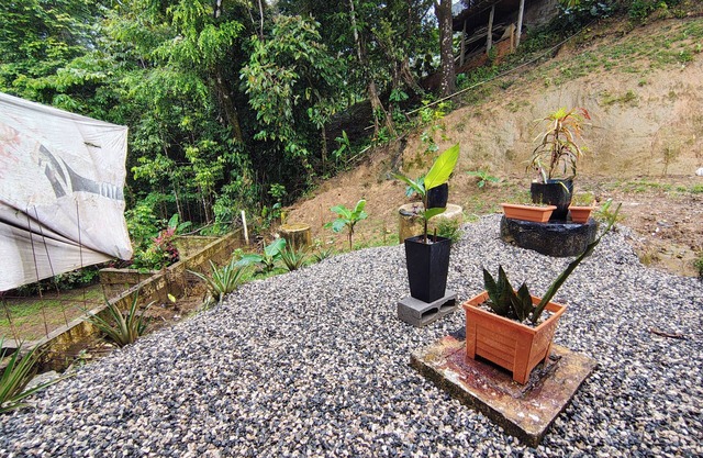 Corcovado Paradise Lodge