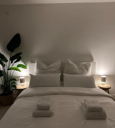 Cozy and modern apartment