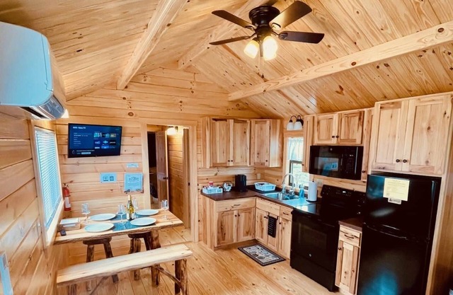 Cozy Cabin on Seneca Wine Trail Vineyard View 5