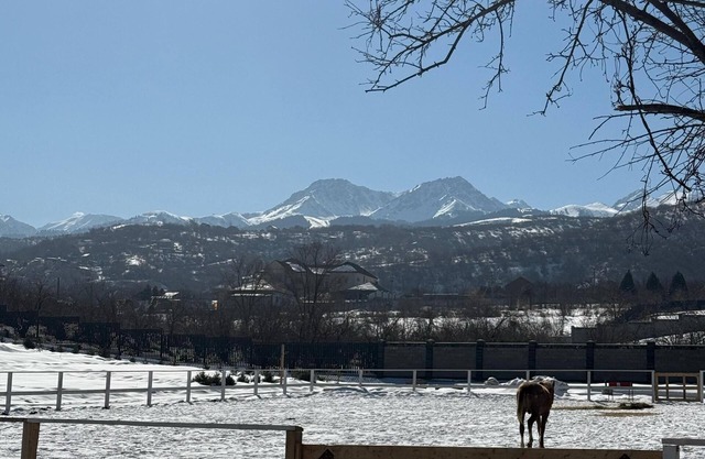 Cozy chalet with WiFi and AC in gorgeous Almaty with Mountain View.