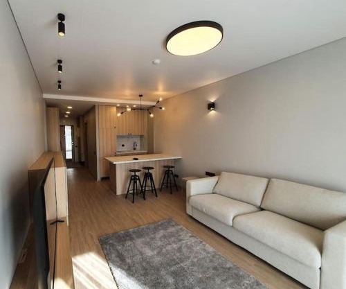 Cozy flat 911