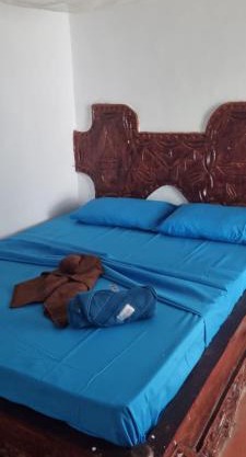 Daya House karibu