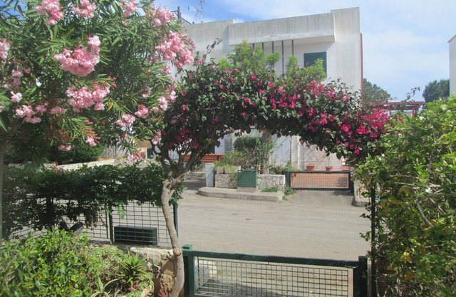 Detached villa in a village on the Ionian