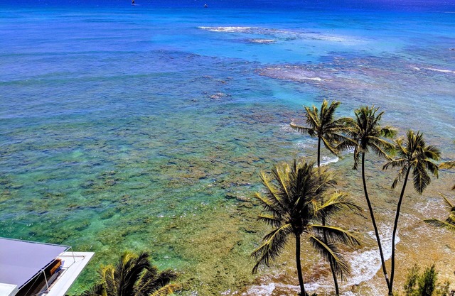 Diamond Head Beach Hotel beautiful panoramic views 1 bdr oceanfront condo.