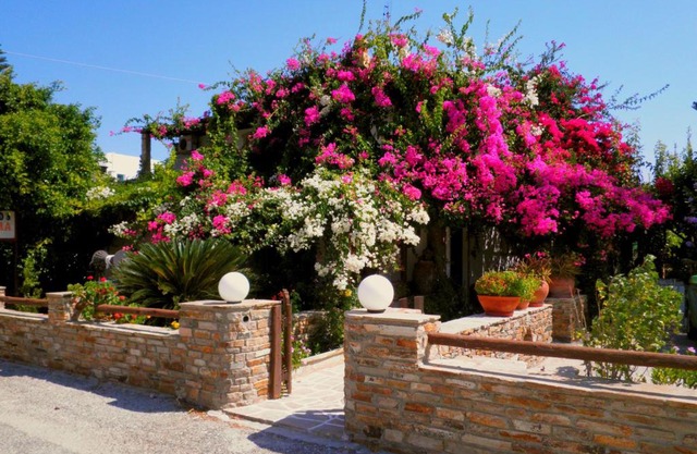 Dimitra Studios
