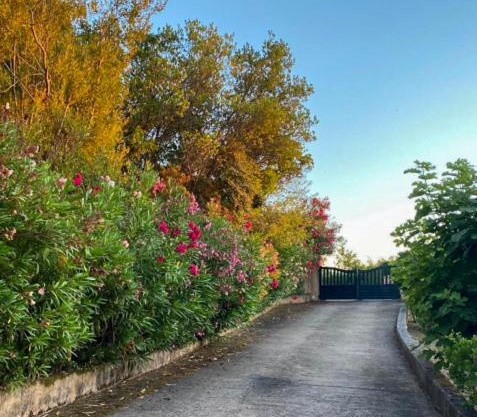 Domaine Mare e Monti - T1 Le Maquis