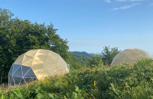 Dome Home Tents Taor