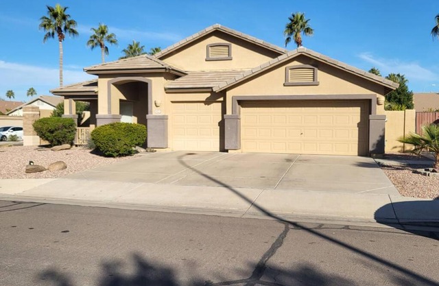 Downtown Gem in Chandler