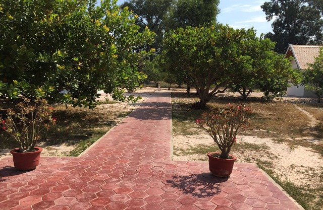 Dracaena Resort