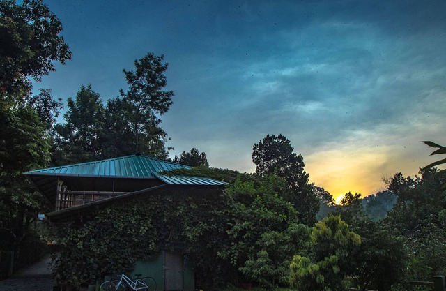 Ecotones Munnar