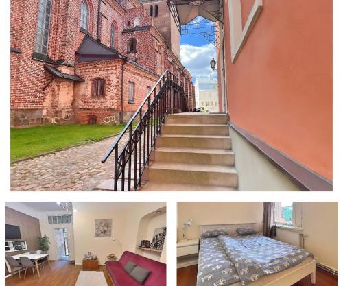 Elephant House - Old Town Tartu