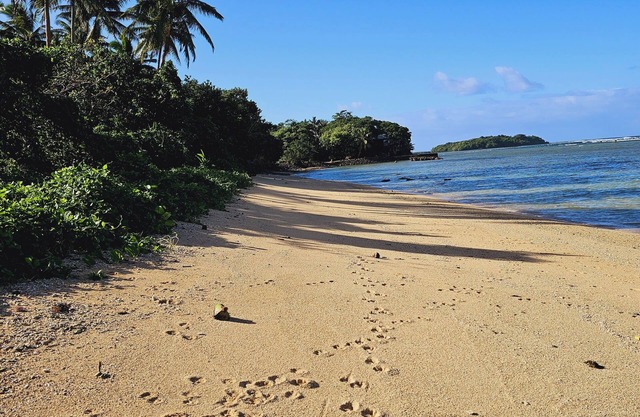 Enjoy a secluded beach escape in this charming cottage.