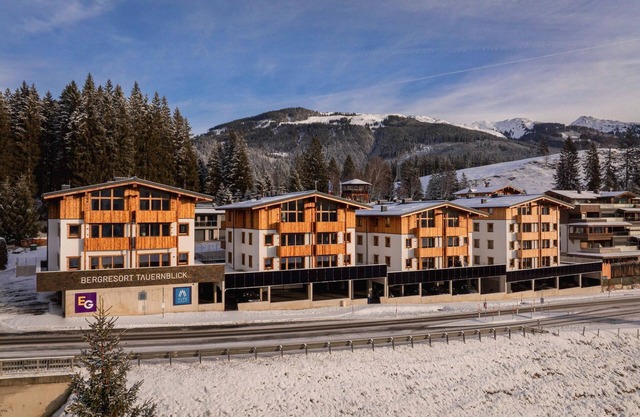 Exclusive apartment near Mittersill