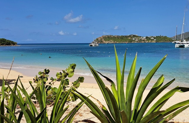 Family Beach House. 1 minute to Pigeon Beach - FIRST TIME on RENTAL MARKET