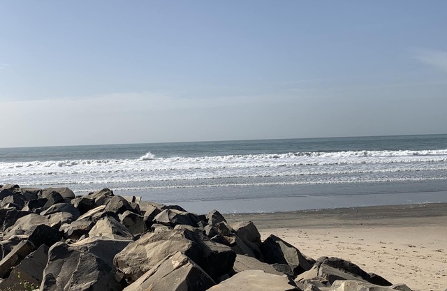 FOREST VIEW LUXURY APARTMENT 3MINS WORK TO BEACH, WIFI