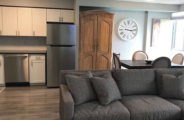 FULLY FURNISHED ONE BEDROOM CONDO - RIVER VIEW
