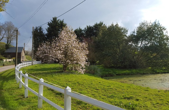 Furnished cottage "les Azalés"