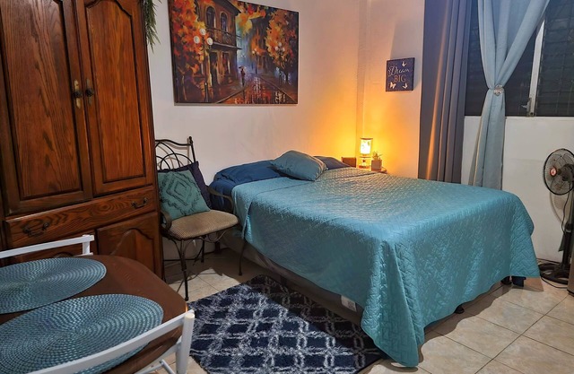 Garden-View Double Room A/C, Private Bath & Terrace Access