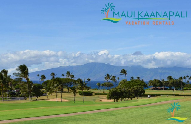 GOLF COURSE FRONT, OCEAN VIEW studio ** NEWLY REMODELLED** A210