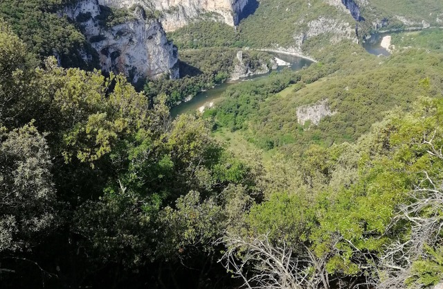 Gorges de L'ardèche. 500 m vom Pont D'arc. Naturschutzgebiet