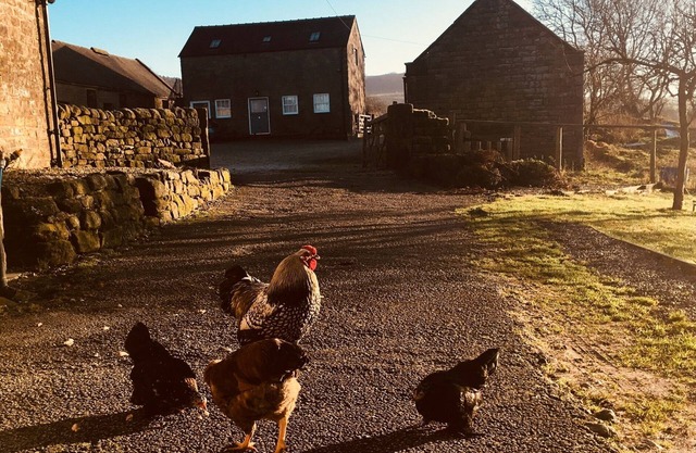 Gratton Grange Farm B&B