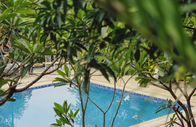 Green View Resort
