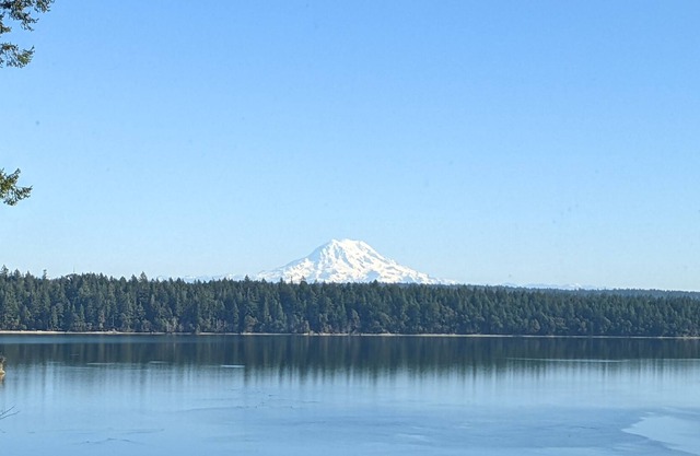 High Bank Waterfront Beach House with Amazing Mt Rainier and Puget Sound Views!