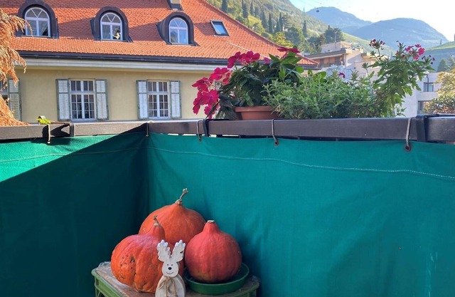 Holiday apartment Bozen (Bolzano) for 1 - 4 persons with 2 bedrooms - Farmhouse