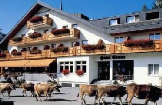 Holiday apartment Wildhaus for 4 - 6 persons with 2 bedrooms - Holiday apartment