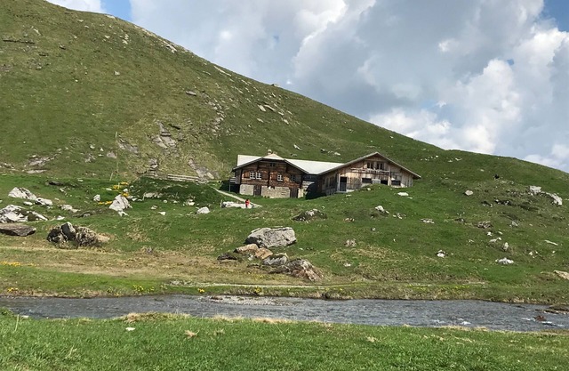 Holiday house Adelboden for 1 - 16 persons with 4 bedrooms - Farmhouse