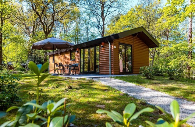 Holiday house Ruinen for 1 - 4 persons with 2 bedrooms - Holiday home