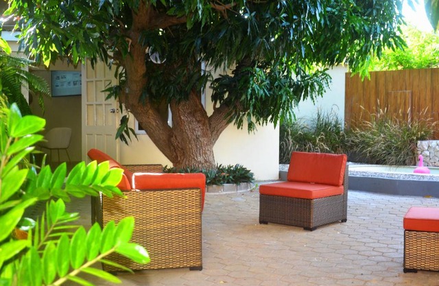 Homey Vacation and Carrental