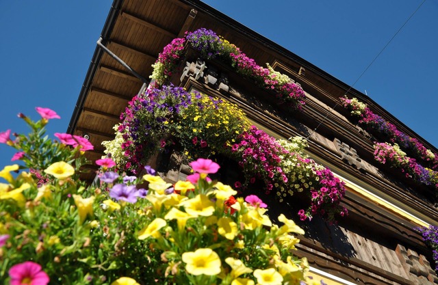 Hotel Burgstall