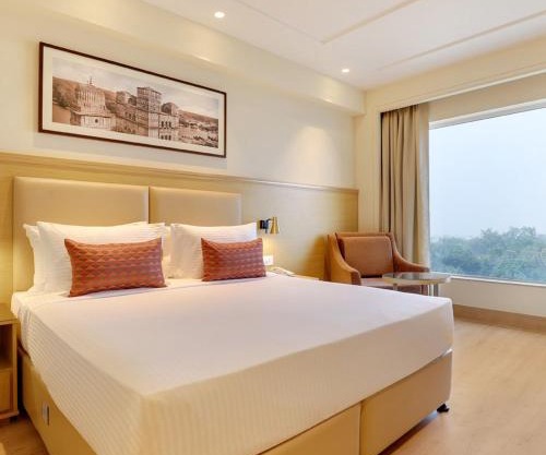 Hotel De Tark Plaza A Family Hotel Delhi Airport