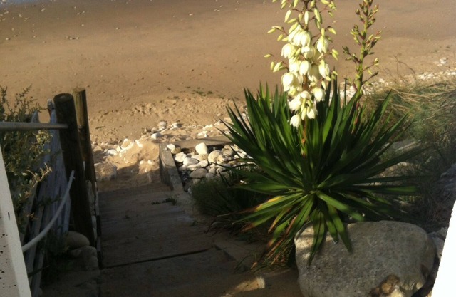 house facing the sea with PRIVATE SPA AND immediate and private ACCESS TO THE BEACH