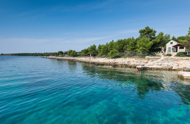 House Sunflower (14661-K1) - Zizanj - island Zizanj