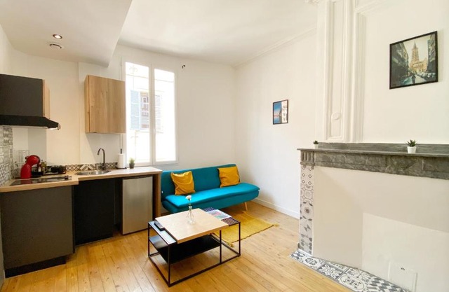 Hypercentre Toulouse 6 joli appartement climatisé et équipé