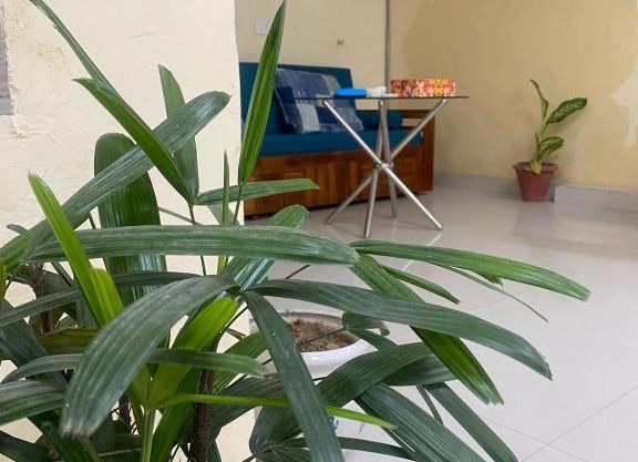 Ideal Hotel in posh Vasant Vihar BIG 1110 sq ft