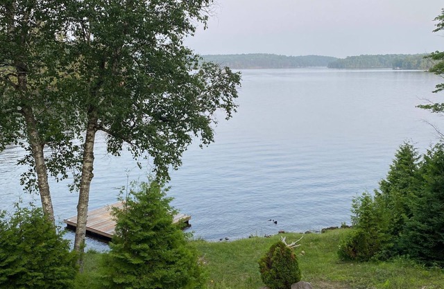 Idyllic cottage for rent on Eels Lake in the Kawarthas. Amazing waterfront!