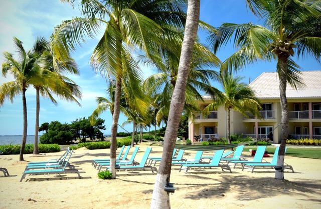 January 18-25, 2025 is available at Grand Caymanian Resort - 1 Bedroom
