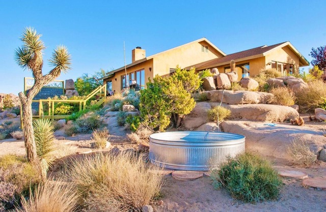 Joshua Tree Oasis